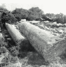 Γιγάντιος κίονας σε αρχαϊκό λατομείο στο Πυργάρι του Νιμποριού Ευβοίας.
